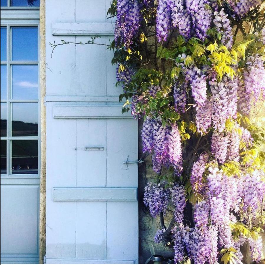 B&B La Commanderie De Lachapelle Lachapelle  외부 사진